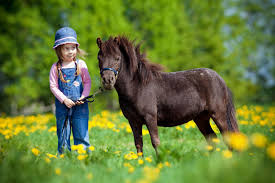 Niña con pony en campo de flores